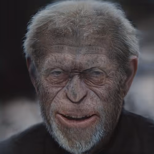 Item #107453803328846220168752969032934446920664070849329610943153639613572860346369 Media