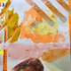 9066558068479035467171165675387714261009828416154086513097123849963879530497