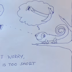DON'T WORRY - LIFE IS TOO SHORT