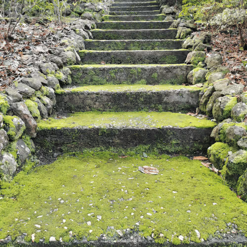 Landscapes comes to life