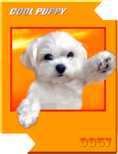 Item #21477548388787063266658748687199700189937005018840532589754440416209110302721 Media