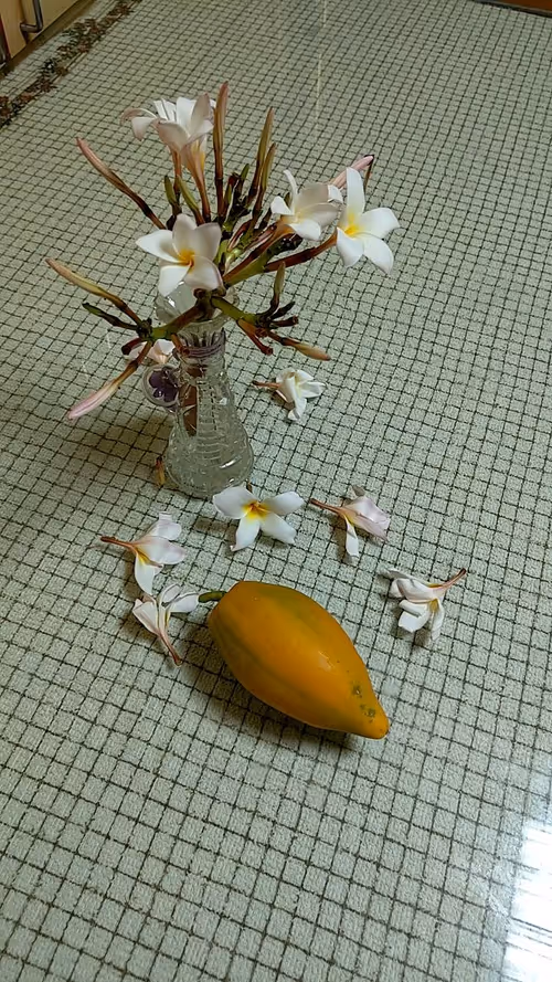 Item #52803607631442750691044588745638878347889601859542825707235719192006258327553 Media