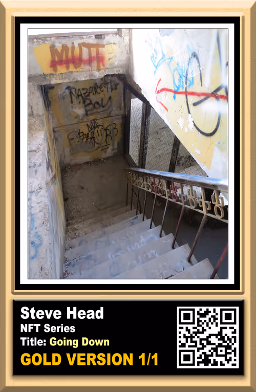 Item #15778094979906091684230138381624049629701650257267740754328723498159768076289 Media