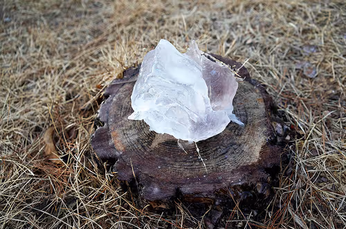 Item #56287295829887504958862107058149038286908875218999637654997635499539818348545 Media