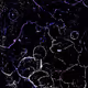 72256936060036278923331537561005506622264708892264959040134690056449202061313