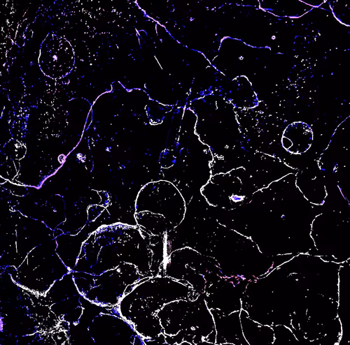 Item #72256936060036278923331537561005506622264708892264959040134690056449202061313 Media