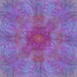 The Echoes of Nature #24