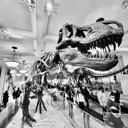 40449787652065743018640773044495240111019622512701765753694832733371976646657