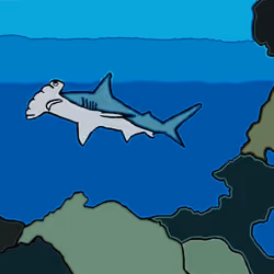 The Apex Fish 20/20