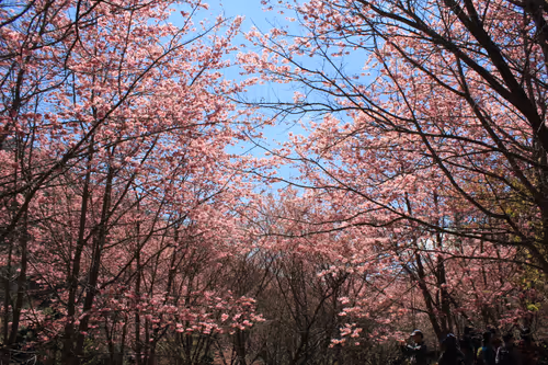 Item #88341892428238457671163359138931352612055705478125639874456303498418500665345 Media