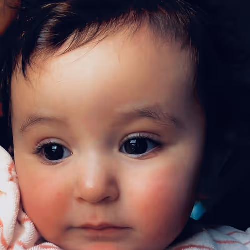 Untitled Collection #284540978