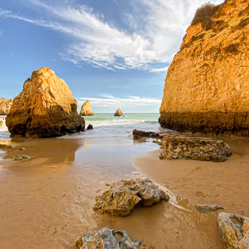Into The Beach