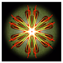 63211013100529833525454840660360054649628702037965273455681848588104470888449