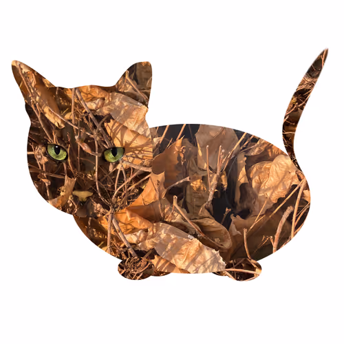 Item #7075100801842414929541159204983769780243264764604993181312715051022057209857 Media