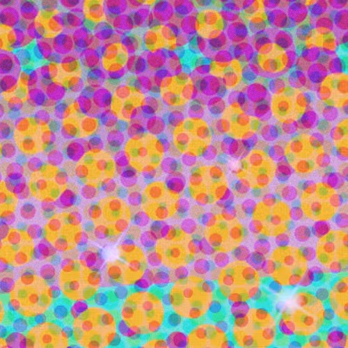 artist_dana Collection - old V2