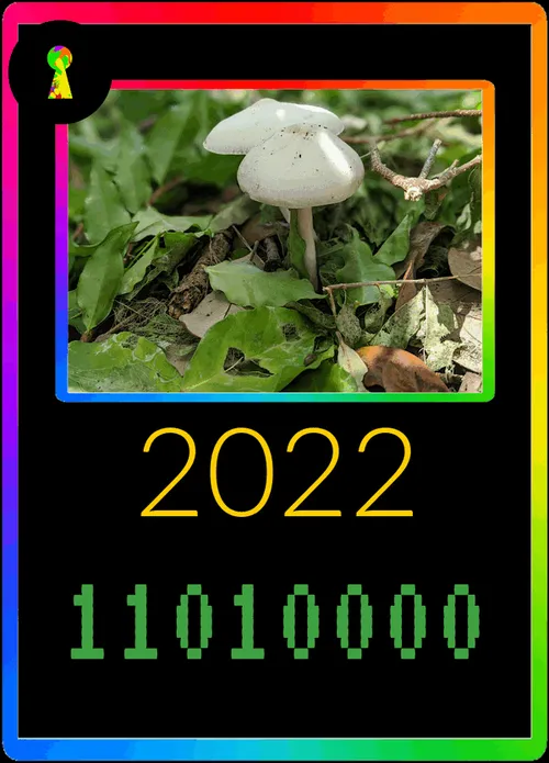 Item #6410961361137912284545228204439286324265034963585743330808617275686983303169 Media