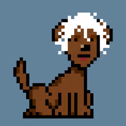 PunkDog #261