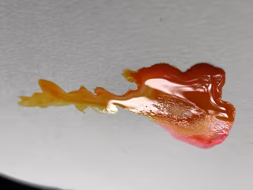 Item #101798116254510798330486236990451841615541533753866395116378150926909484040193 Media