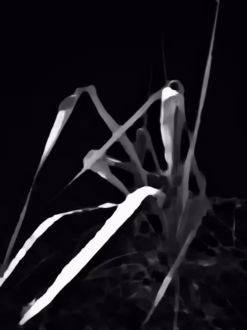 Item #41003151928393292369567597254607550815356584205978628665968184416606686806017 Media