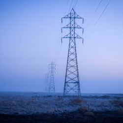 Fogtography #8