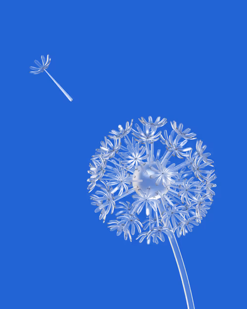 Item #48010298704201835122009098849609997141248813887797384028002577365095512277002 Media