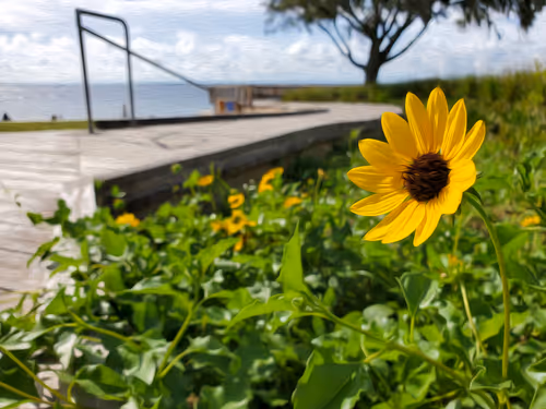 Item #104376002949691435372186332922329426885438855104179935790586764278472055455751 Media