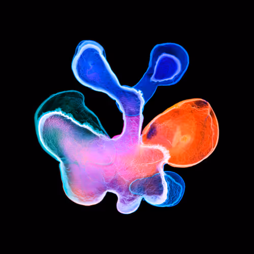 Item #21241348295233725123048088412056156901328443234644052459911106387647039275009 Media