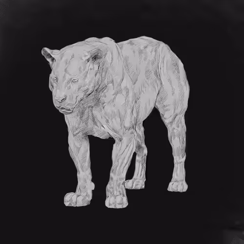 Item #47136027336140958589555740153260049377004429355589558728837188184151676682241 Media