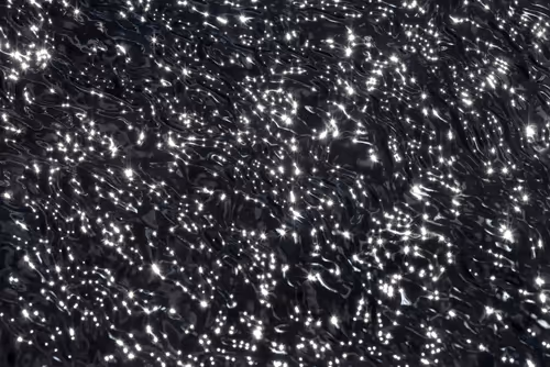 Item #81441334517361708208394031135700195474624799851237506988747108139320551145473 Media