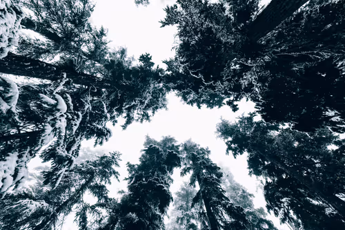 Item #63454844605715267947314910232292346032056647728766809663184741530777228935169 Media