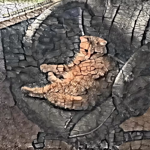 Item #84889371555348711549292944626778091339480944889018475842771169828462978400257 Media