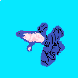 Item Media