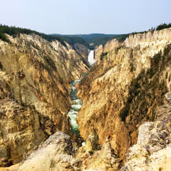 Grand Canyon of Yellowstone #011