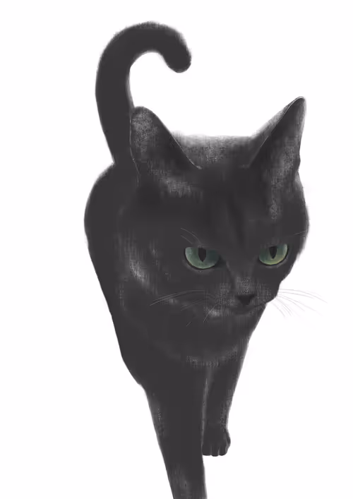 Item #82695799108276642583323751934613913274690371258081772662869305543190340698117 Media