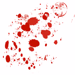 Blood