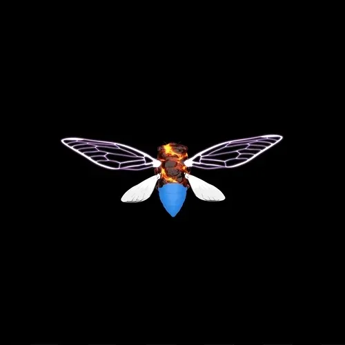 CicadasFinance Collection