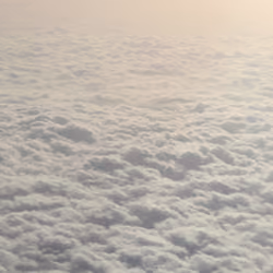 Flying 051/100