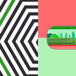 The Green Forest