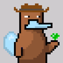 Platy Punk #422