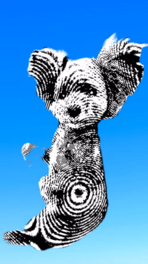 Item #50435629414903080732398685353811858649064922584428316907703266716846168997889 Media