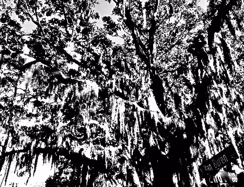 19841423673673061120678522492980359232702795421164906781459419156995393978369