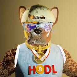 ROCKO - BITCOIN GOLD EDITION - WORLD OF NFTs