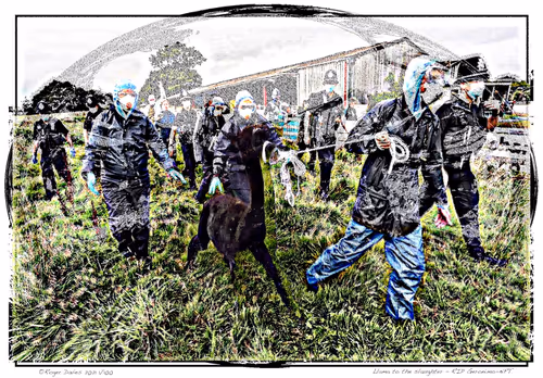 Item #6968899724388266606176016145545160509277227480062482001621938806311431962724 Media