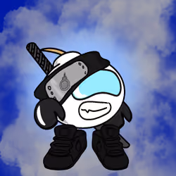 Ninja