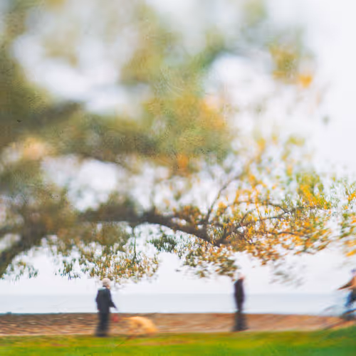 Life In A Blur