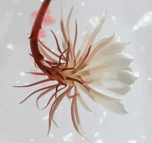 Item #31900271073354632832991890429912638653086322620126594410230774050208666877953 Media