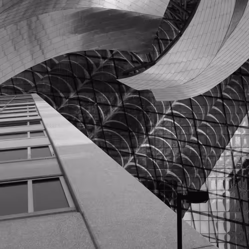Collage 1 (Grayscale) - 2D Design