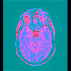 64162533542198579898252916190583583845604629893829087458582976252667366473729