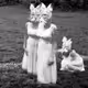 Spring Hare Collection : Official Page