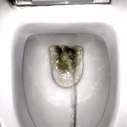 12660136923828748263426703316480839463053827608546839420335323903065598197761